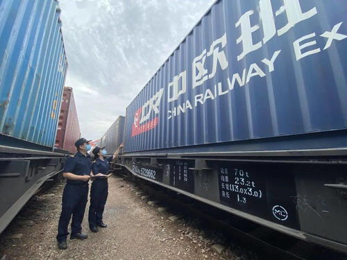 國際海關日 守護國門，全力以赴保障供應鏈穩定高效