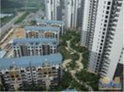 東莞珠佳房地產 專業房地產代理服務，助力投資與登記無憂